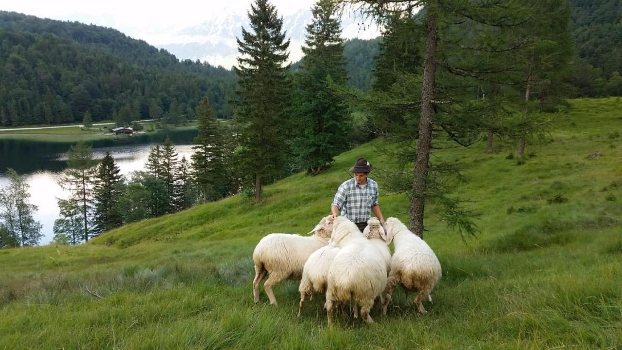 Haus Isartal Leilighet Mittenwald Eksteriør bilde